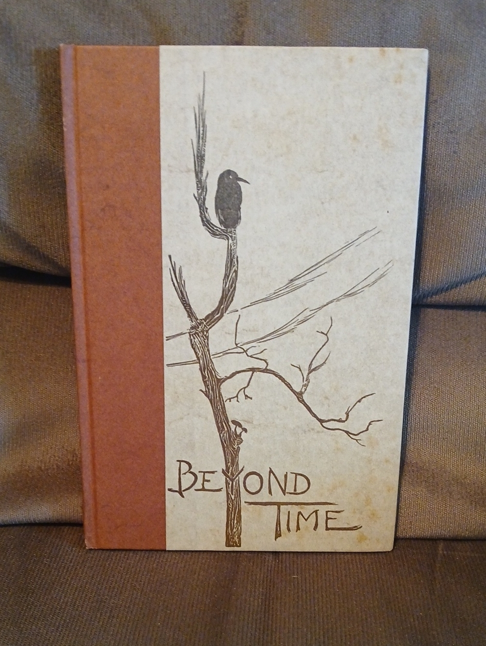 Beyond Time Bird Journal - Brown/Cream Sketch Cover